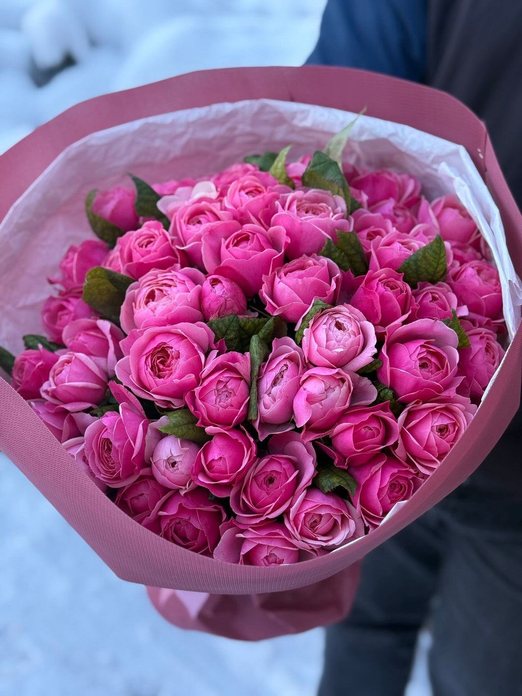 51 Rosen Light