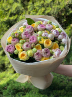 51 pfingstrosenartige Rosen Lanado und Peony