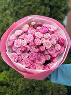 51 pfingstrosenartige Rosen Lady Bombastic