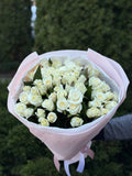 51 Rosen Beluga