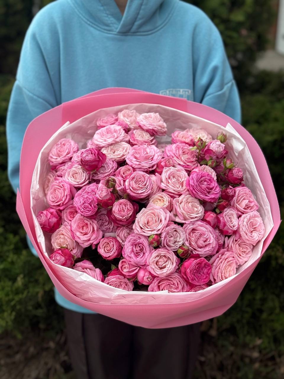 51 pfingstrosenartige Rosen Lady Bombastic
