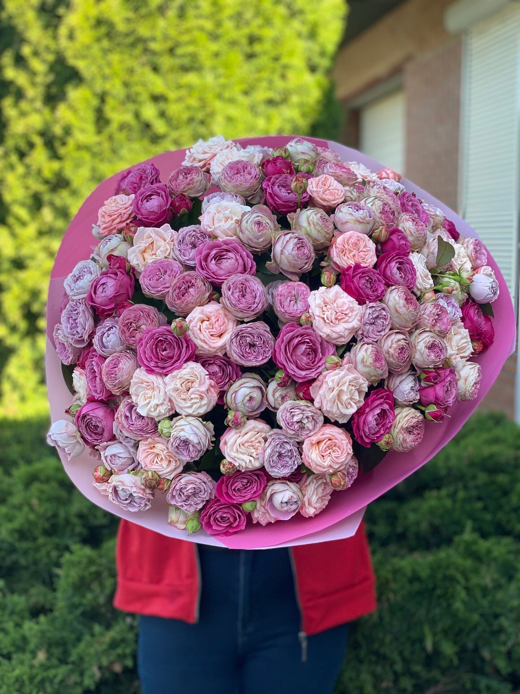 101 pfingstrosenartige Rosen Majestic, Bombastic und Lavenderfarben