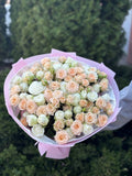 39 Rosen Miss Bombastic und Tanya