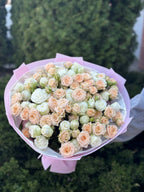 39 Rosen Miss Bombastic und Tanya