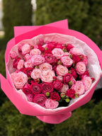 39 Rosen Lady Bombastic und Majestic