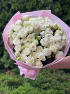 39 pfingstrosenartige Rosen Miss Bombastic
