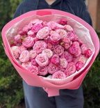 39 pfingstrosenartige Rosen Lady Bombastic