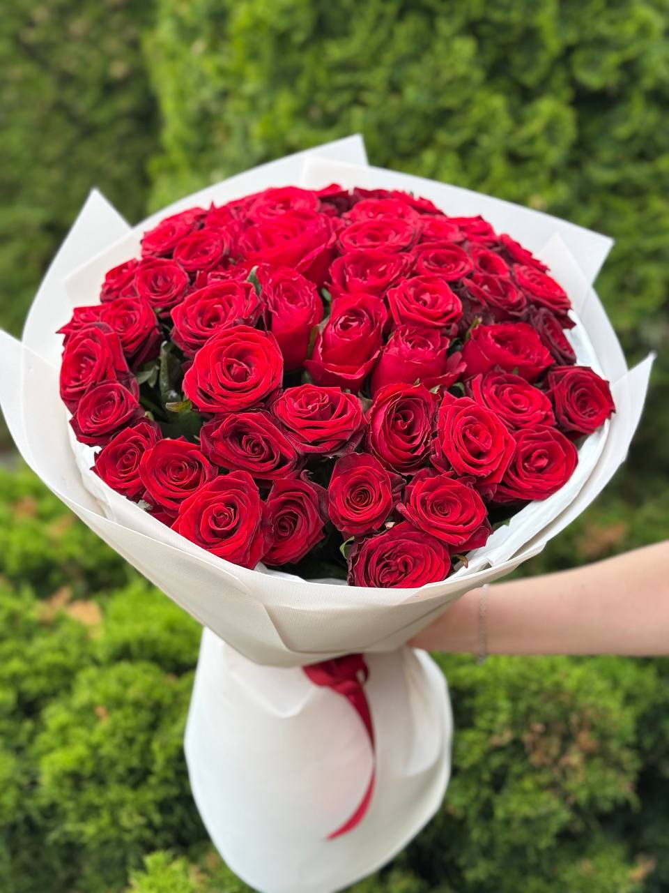 51 Rosen Red Naomi