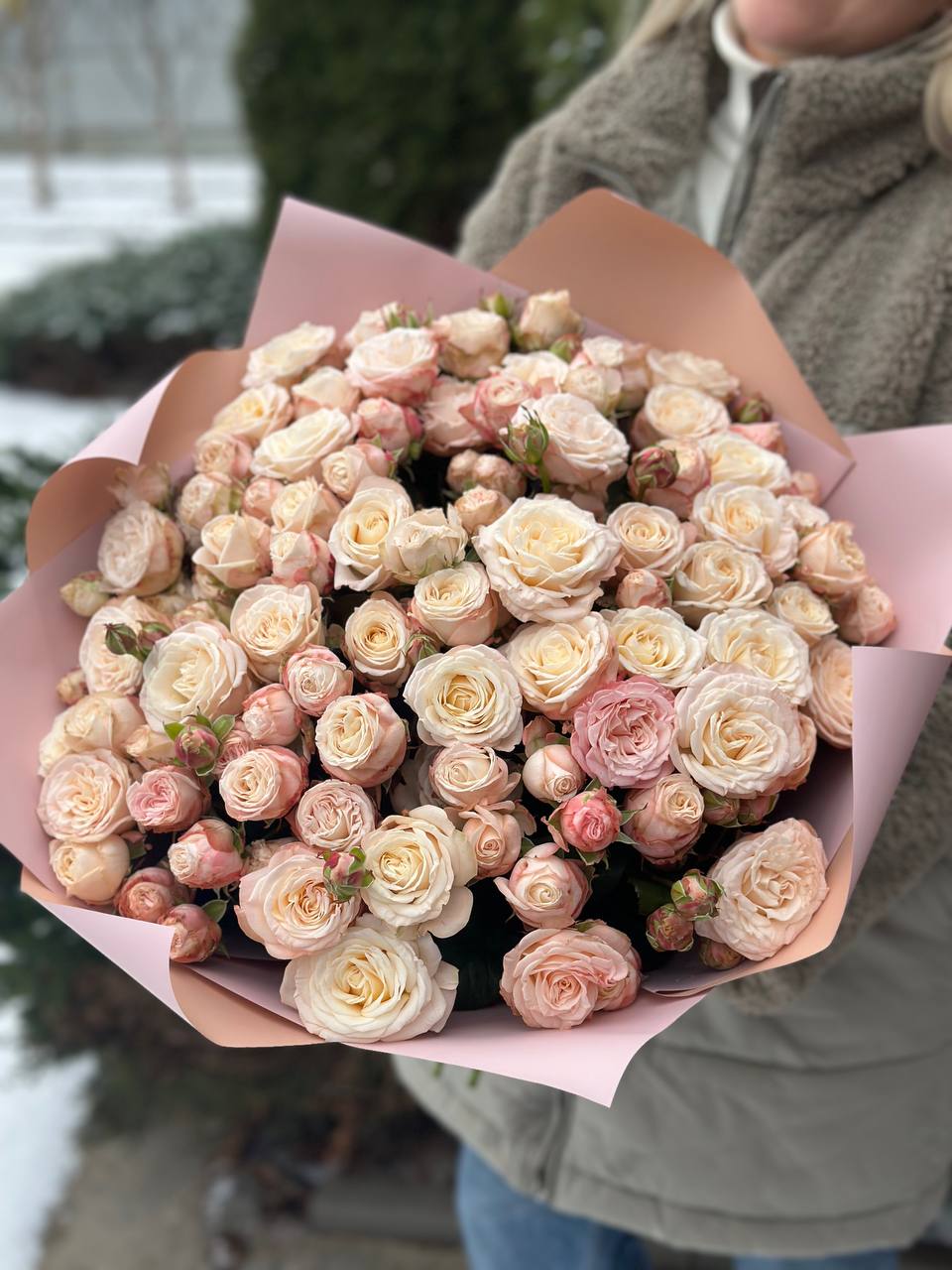 51 pfingstrosenartige Rosen Bombastic