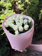 19 Rosen Beluga