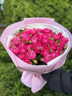 39 pfingstrosenartige Rosen Majestic