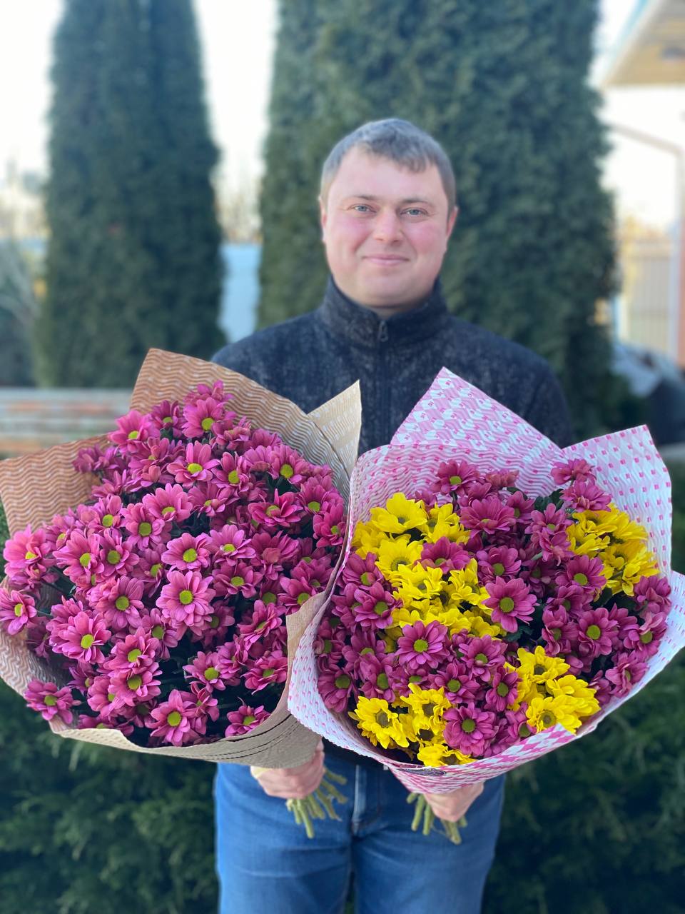 15 Margeriten-Chrysantheme (violett und gelb)