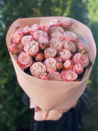 19 pfingstrosenartige Rosen Madam Bombastic
