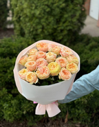 19 pfingstrosenartige Rosen Priscilla