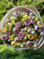 51 pfingstrosenartige Rosen Lanado und Peony