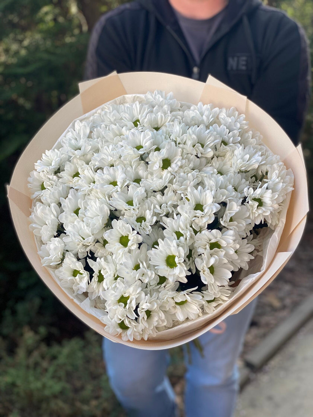 15 Margeriten-Chrysantheme (weiß)