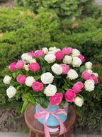 Hutbox XL 51 Rosen (Sorten Miss Bombastic und Line)