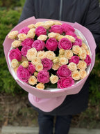39 Pfingstrosen Rosen Tanya und Lavender Lace
