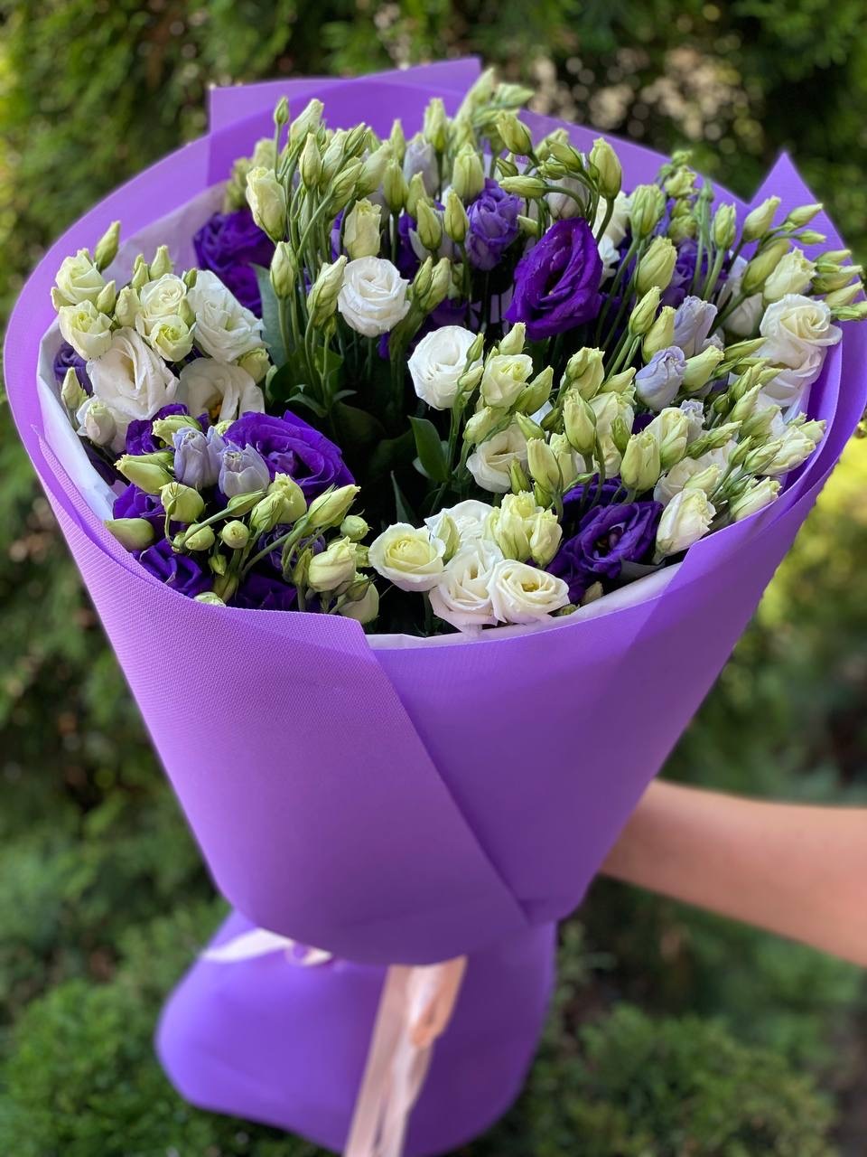 19 Stiele Eustoma weiß und violett (70 cm)