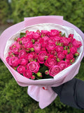 19 pfingstrosenartige Rosen Majestic“