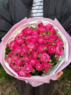 39 pfingstrosenartige Rosen Majestic