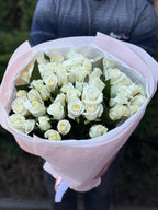 51 Rosen Beluga