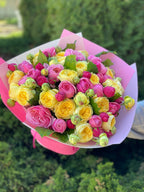 39 pfingstrosenartige Rosen Light und Peony