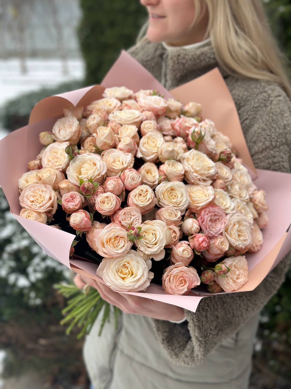 51 pfingstrosenartige Rosen Bombastic