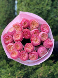 19 pfingstrosenartige Rosen Harper