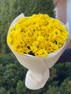 9 Margeriten-Chrysantheme (gelb)