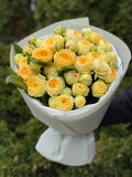 19 pfingstrosenartige Rosen Peony Bubbles