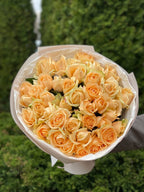 39 Rosen Peach Avalanche