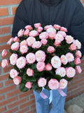 HutboxXL 51 Rosen (Sorte Bombastic)