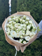 39 pfingstrosenartige Rosen Miss Bombastic