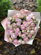 39 pfingstrosenartige Rosen Lavender
