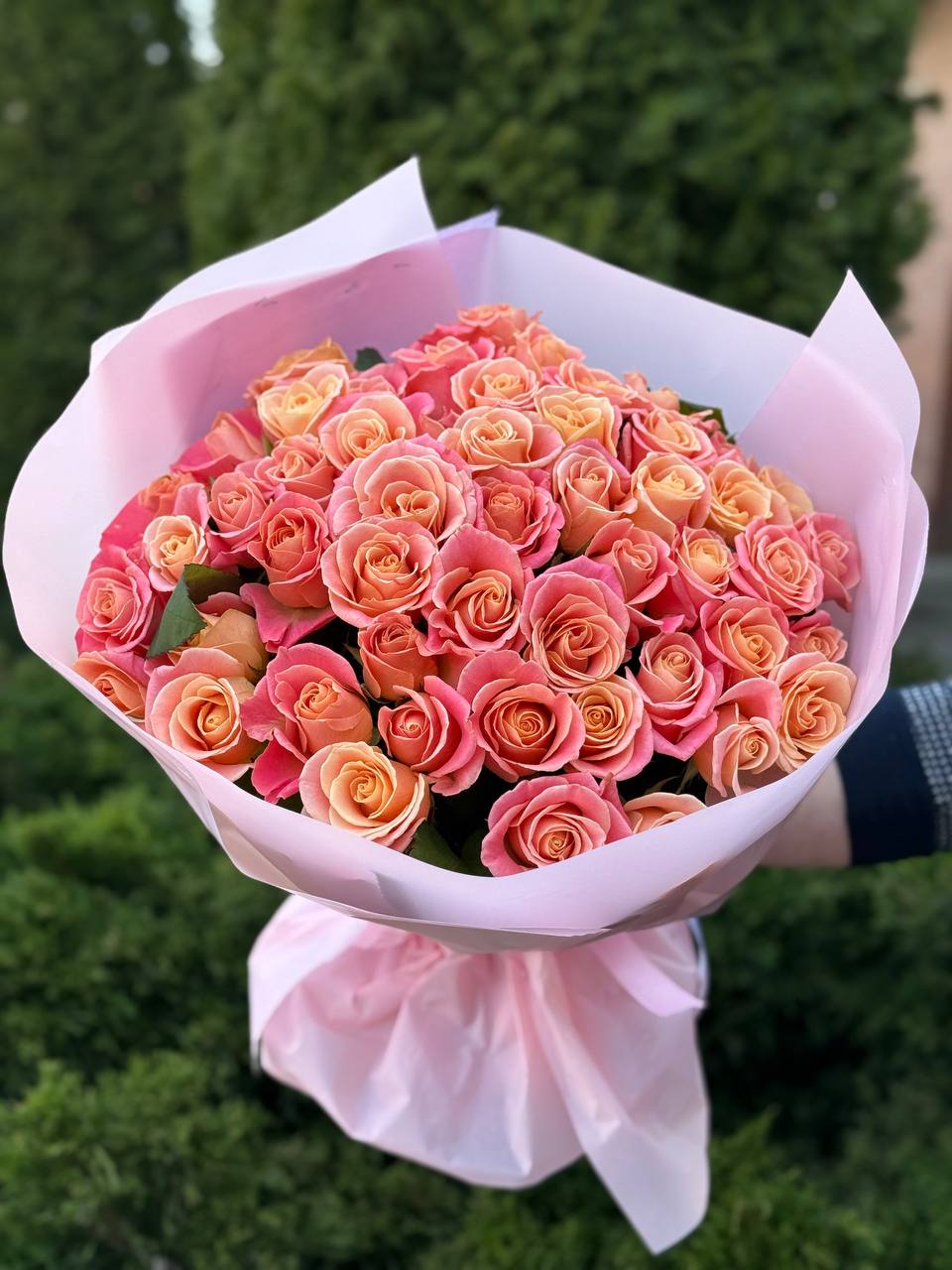 51 Rosen Miss Piggy