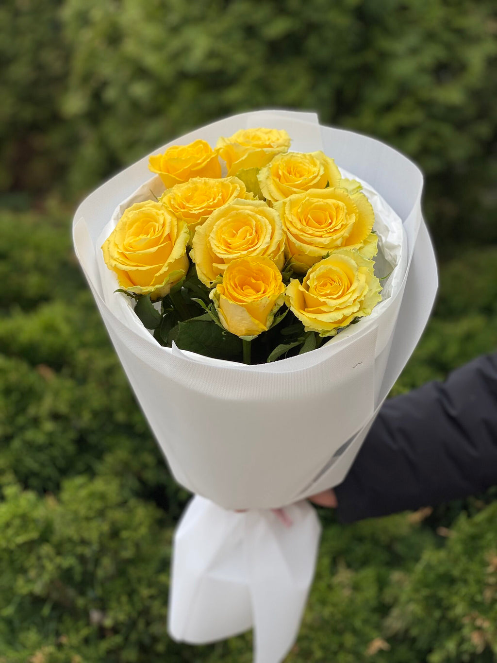 9 Stiele Rosen gelb (50 cm)