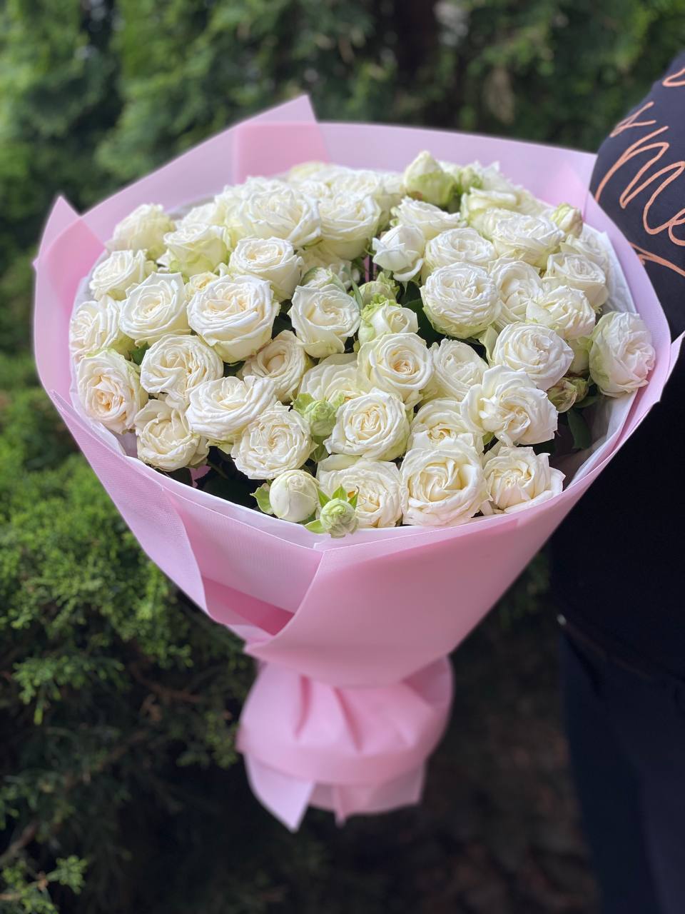 39 pfingstrosenartige Rosen Miss Bombastic