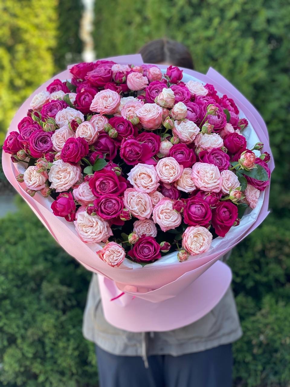 51 pfingstrosenartige Rosen Bombastic und Majestic