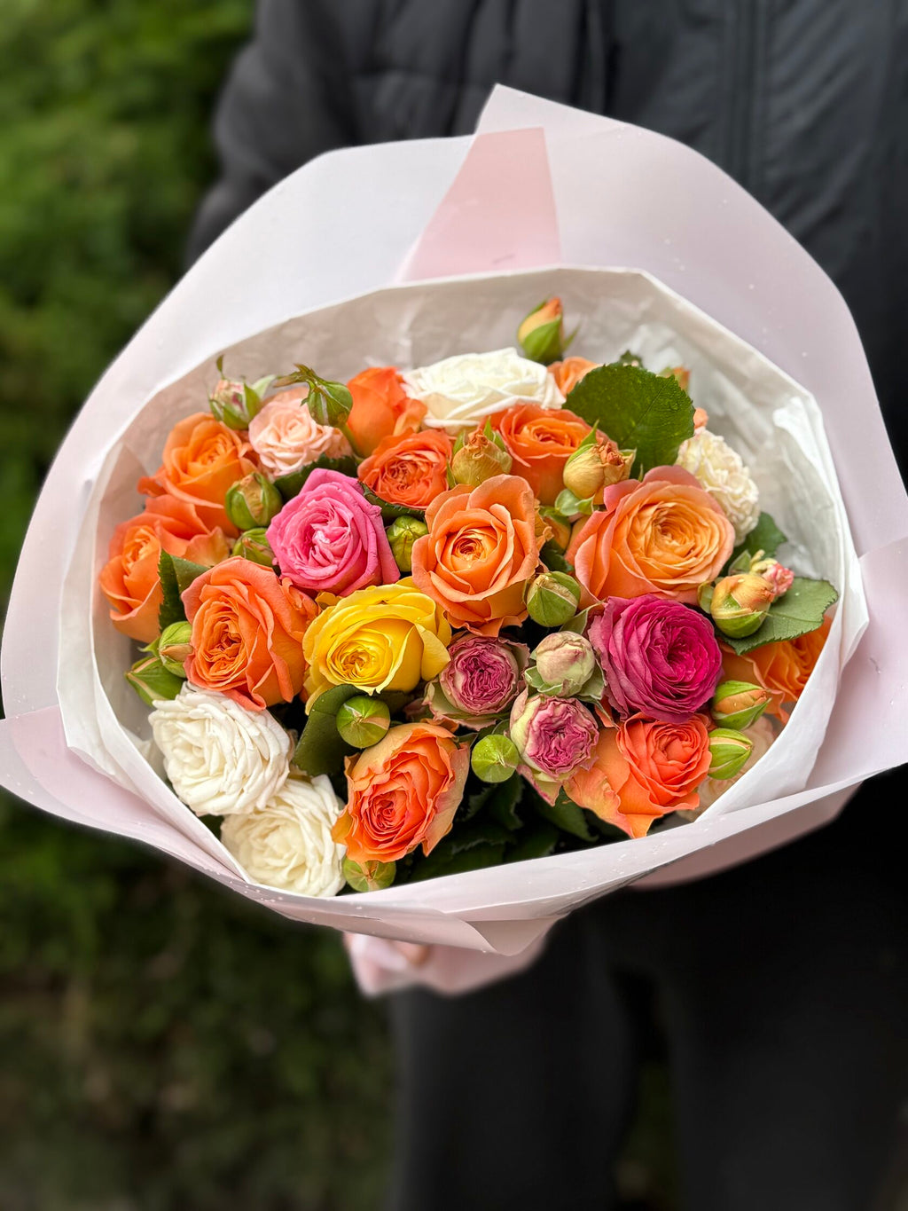 19 Rosen, Sortenmix (Assorti)