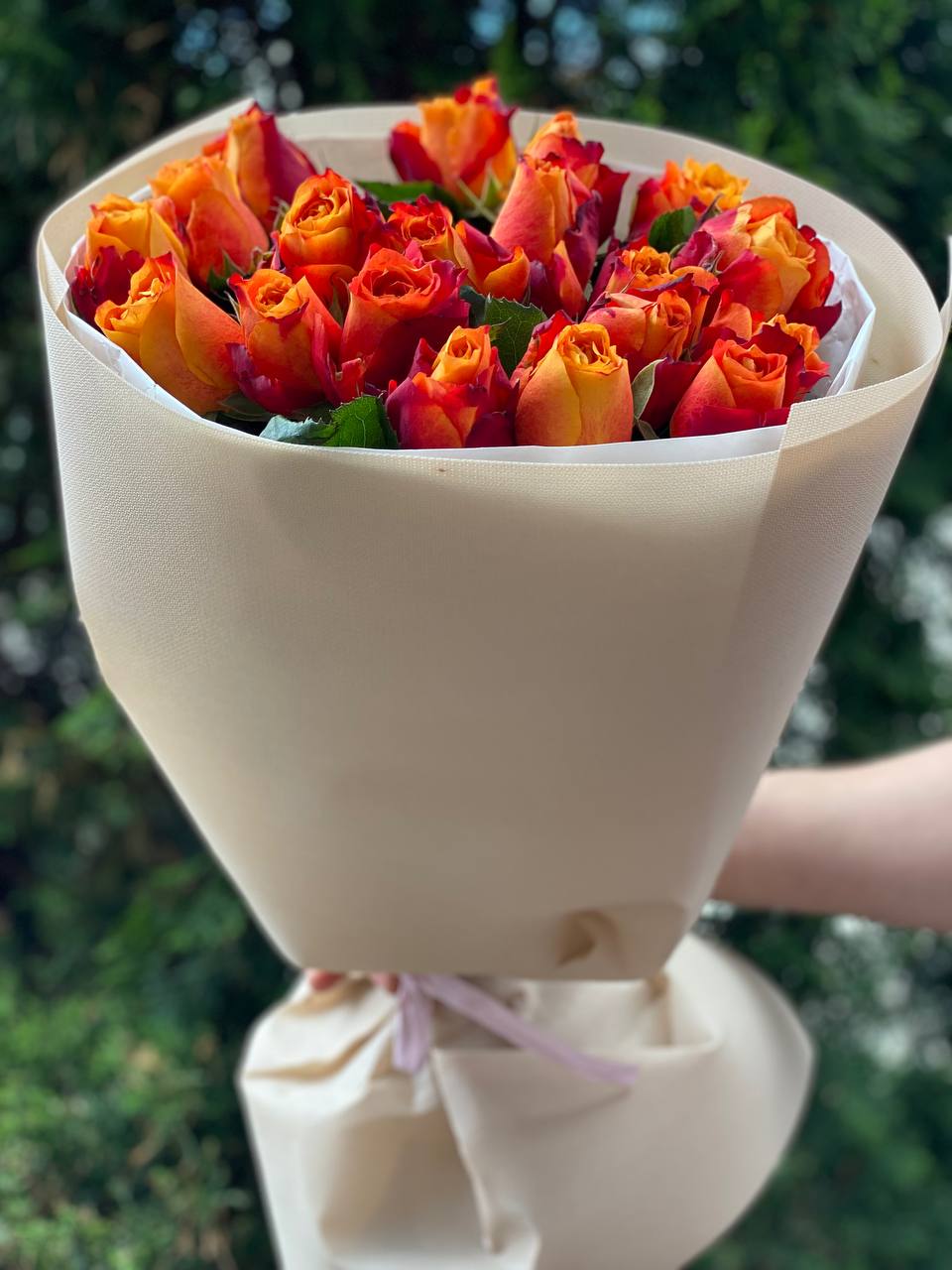19 Rosen Hollandia Orange