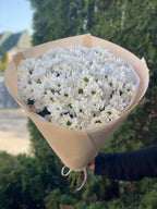 15 Margeriten-Chrysantheme (weiß)