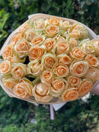 51 Rosen Peach Avalanche