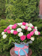 Hutbox XL 51 Rosen (Sorten Miss Bombastic und Line)
