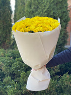 9 Margeriten-Chrysantheme (gelb)