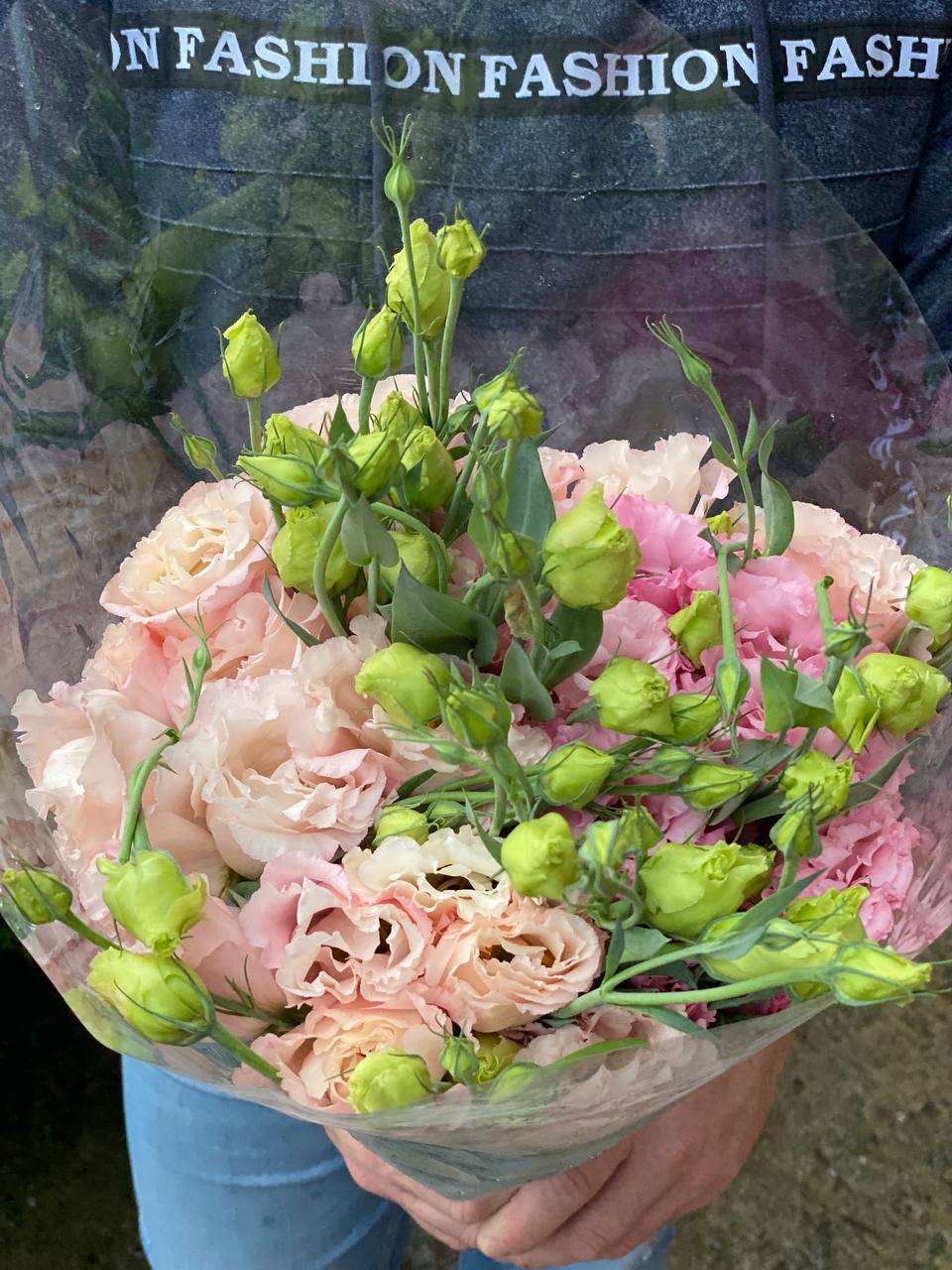 19 Stiele Eustoma (70 cm) rosa