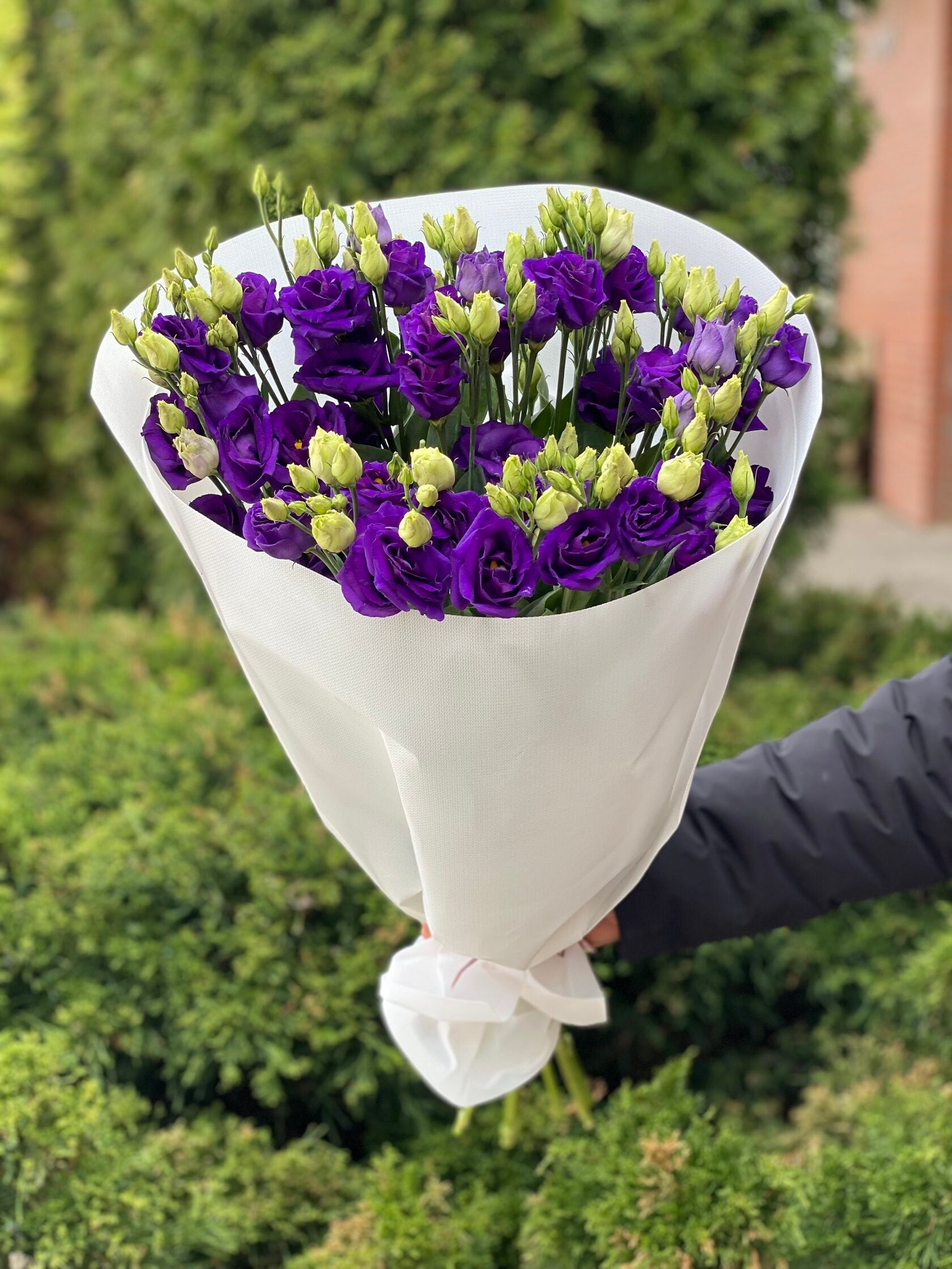 9 Stiele Eustoma violett (70 cm)