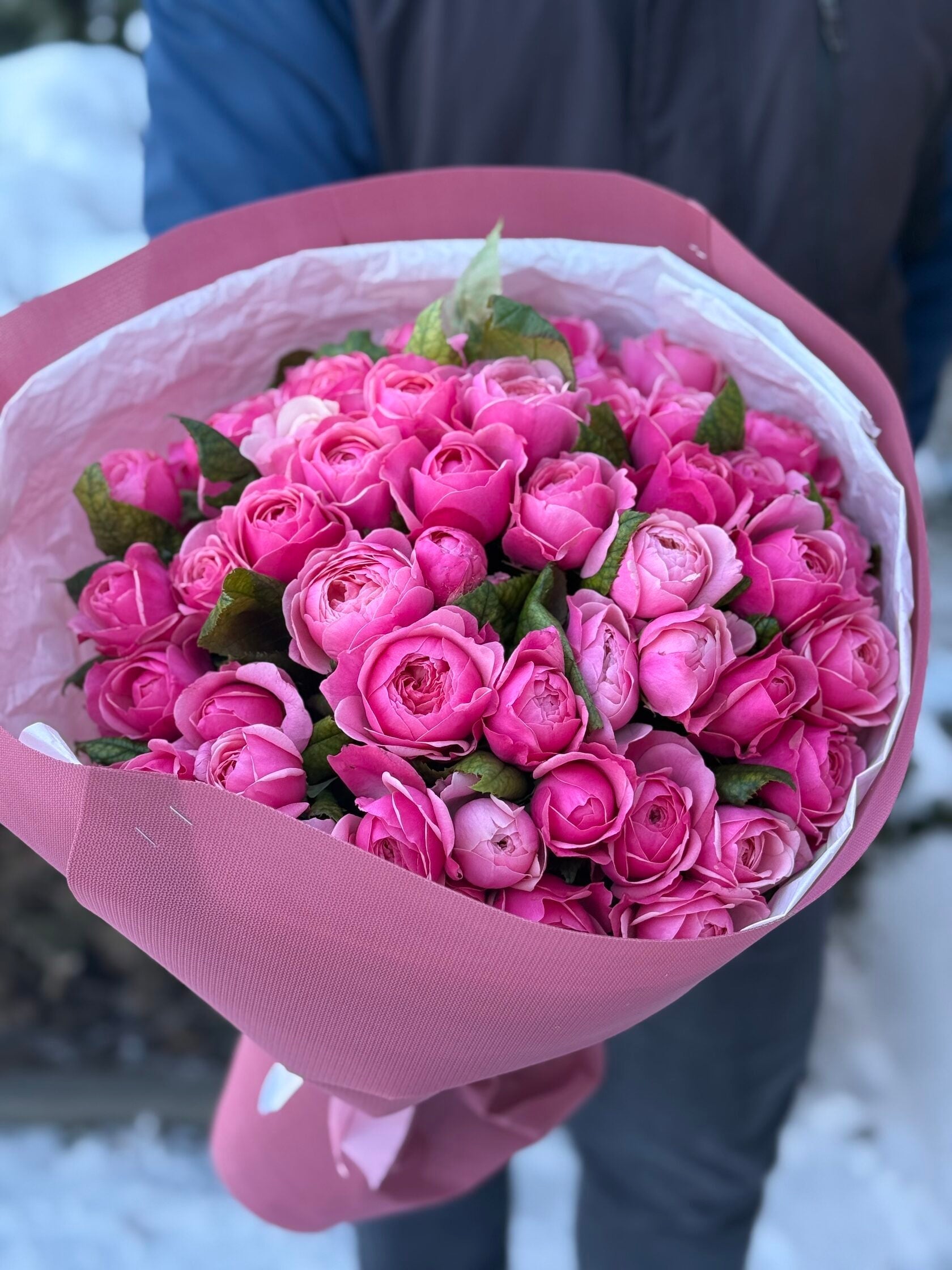 51 Rosen Light