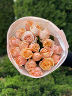 19 pfingstrosenartige Rosen Amber Sun (puderrosa)