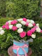 Hutbox XL 51 Rosen (Sorten Miss Bombastic und Line)